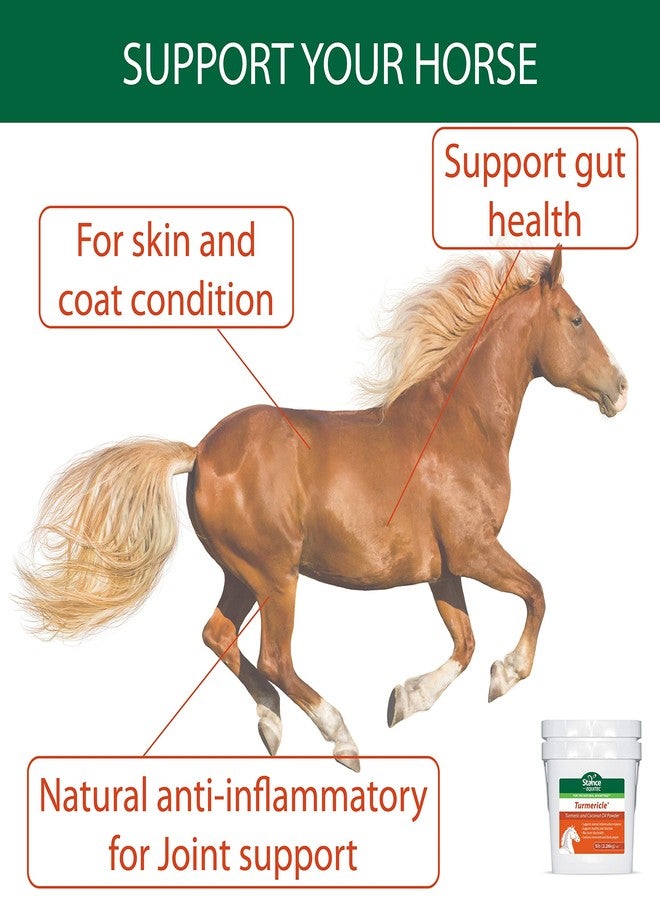 Stance Natural Turmeric Powder for Horses with Powdered Coconut Oil Equitec Turmericle Anti-Inflamatory Horse Supplement for Healthy Hip & Joint Function - Normal Skin Health (5) - Image 3